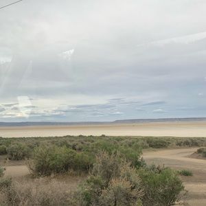 Meet your Posher, Ella